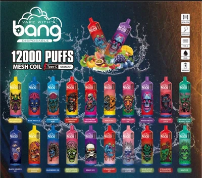 B12 12000 Puffs bir martalik vape ulgurji