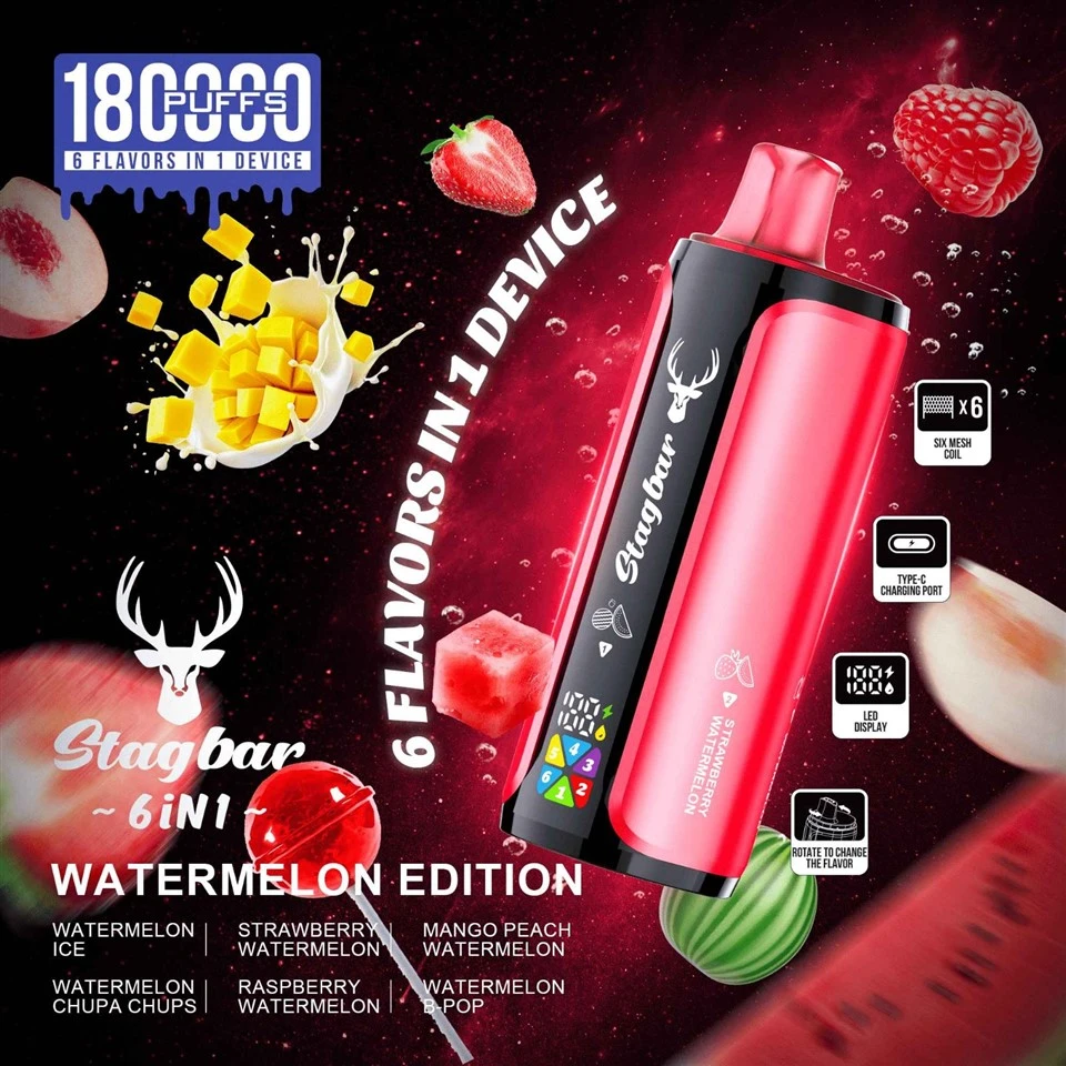 Stagbar 6 IN 1 180K Puffs Disposable Vape suppliers